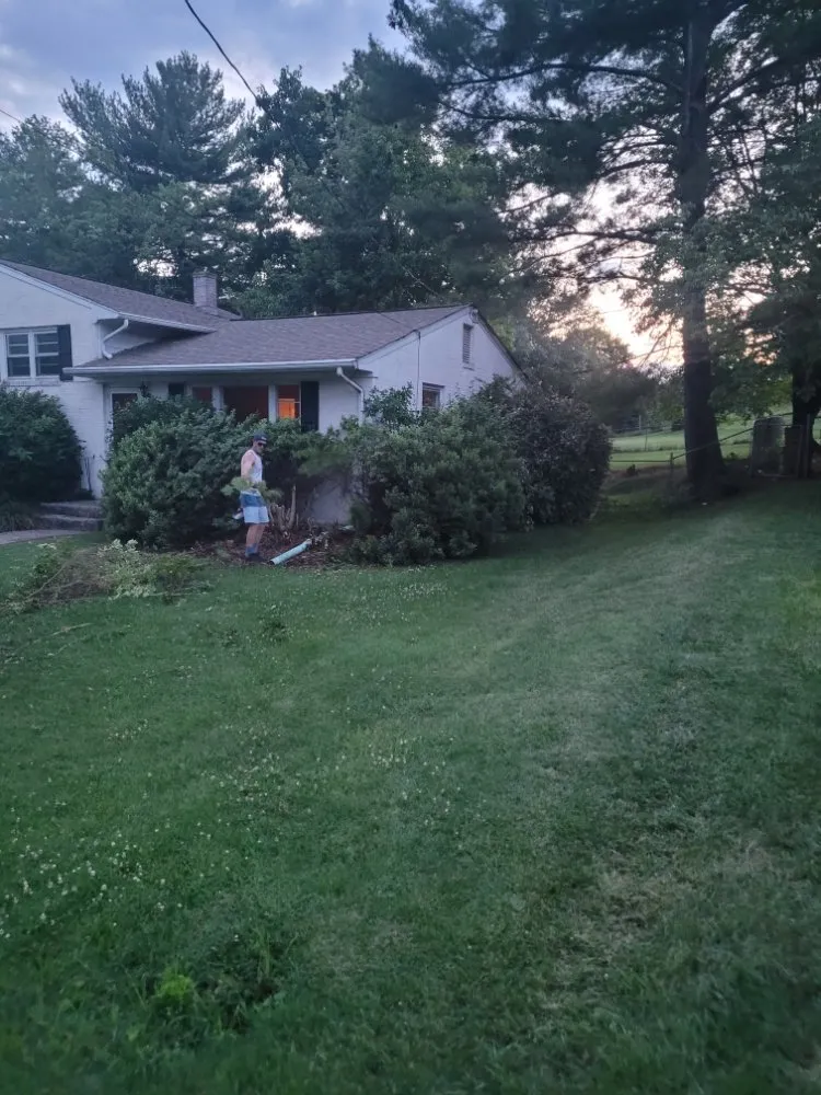 Expert landscape design experts serving Roanoke, VA - Kiss My Grass