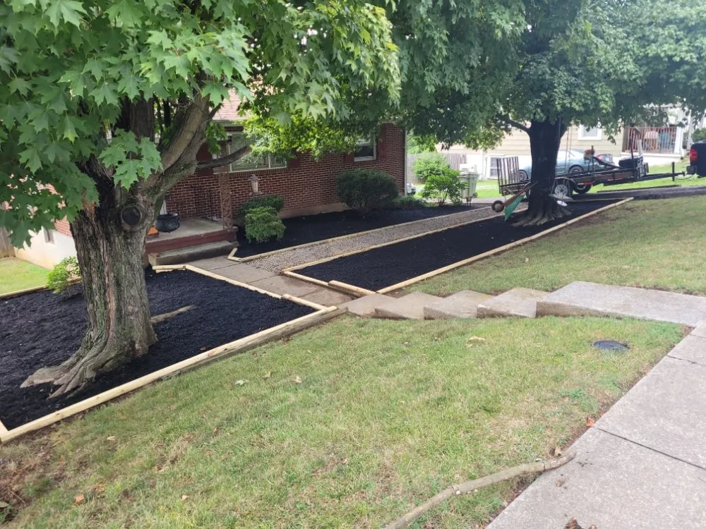 Top-rated yard cleanup service in Roanoke, VA - Kiss My Grass