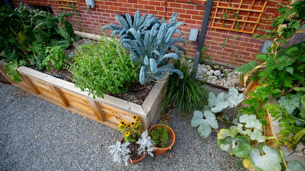 Reliable landscaping services for year-round maintenance across Austin, TX - Kitchen Door Landscaping