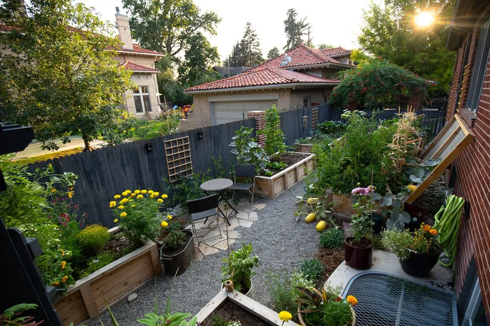 Affordable yard maintenance in Austin, TX by Kitchen Door Landscaping