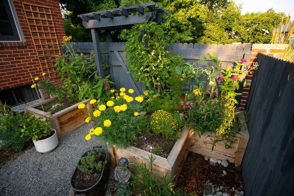 Reliable landscape installation for homes in Austin, TX by Kitchen Door Landscaping