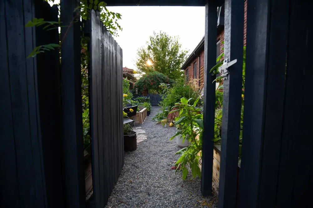 Top-rated lawn care service for residential properties in Austin, TX by Kitchen Door Landscaping