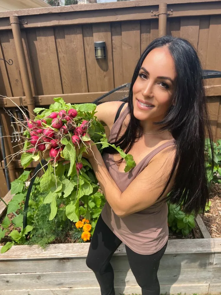 Affordable yard maintenance experts serving Dallas, TX - Kitchen Garden Dallas