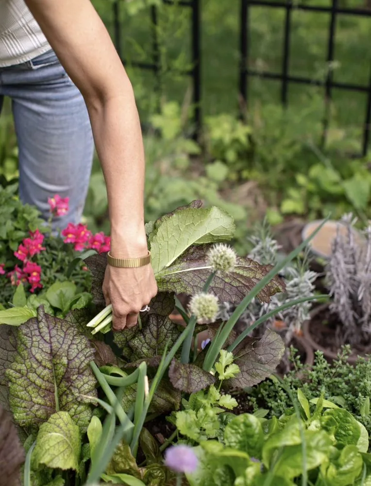 Local landscape installation for residential properties in Dallas, TX by Kitchen Garden Dallas