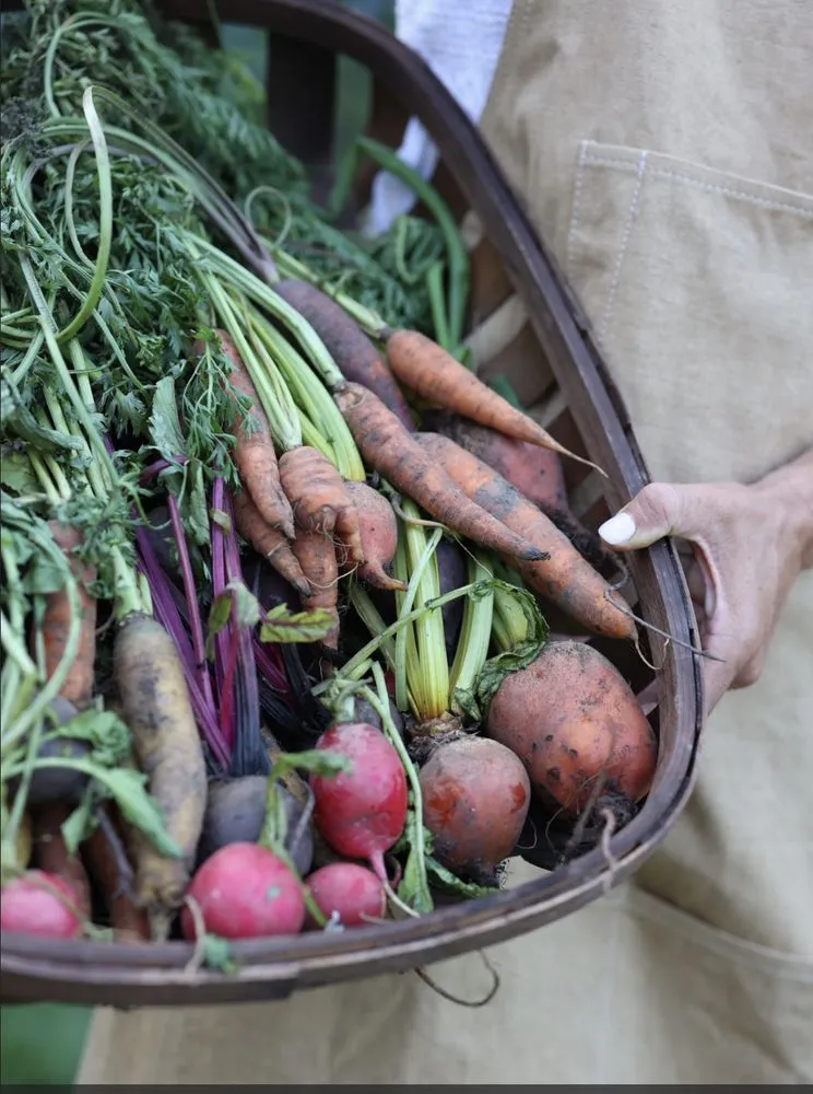 Local yard maintenance in Dallas, TX - Kitchen Garden Dallas