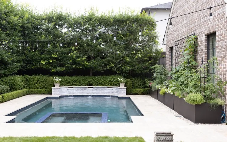 Local yard maintenance for year-round maintenance across Dallas, TX - Kitchen Garden Dallas