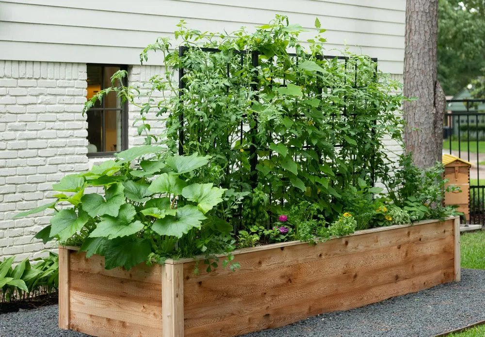 Trusted landscaping services with custom design across Dallas, TX - Kitchen Garden Dallas