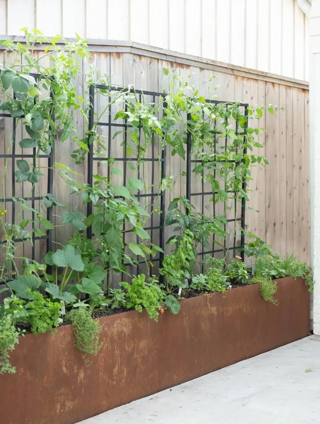 Affordable landscaping services for homes in Dallas, TX by Kitchen Garden Dallas