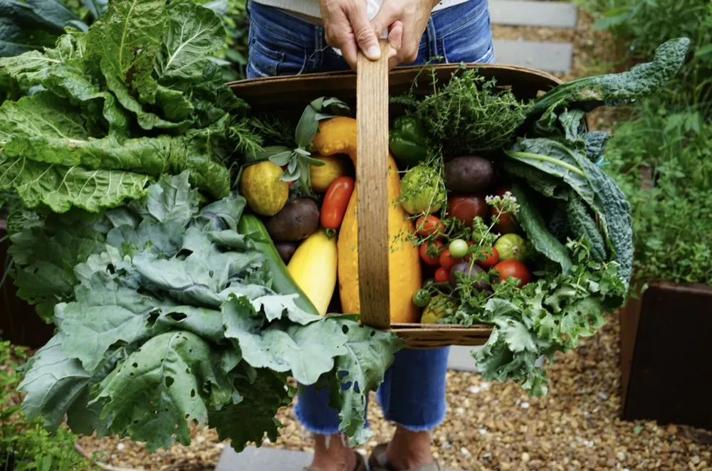 Affordable landscape installation for homes in Dallas, TX by Kitchen Garden Dallas