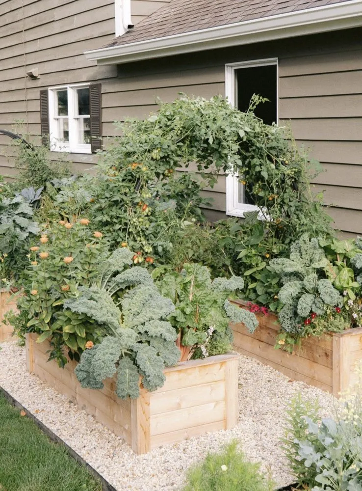 Local outdoor landscaping experts serving Dallas, TX - Kitchen Garden Dallas