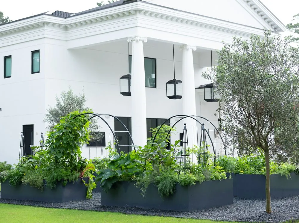 Affordable landscaping services experts serving Dallas, TX - Kitchen Garden Dallas