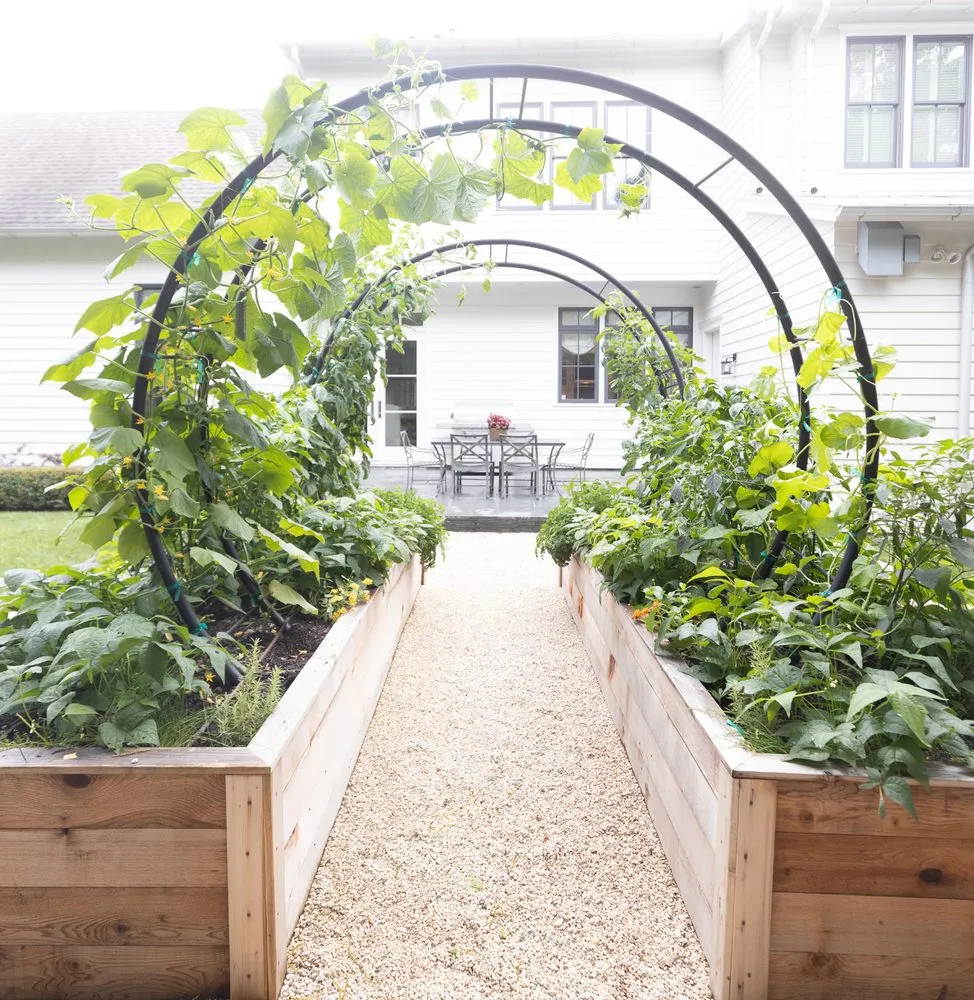 Local yard cleanup service for residential properties in Dallas, TX by Kitchen Garden Dallas