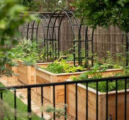 Kitchen Garden Dallas Logo