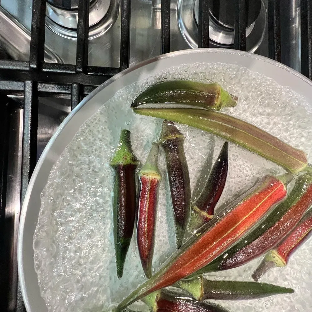 Expert outdoor landscaping in Houston, TX - Kitchen Garden Revival