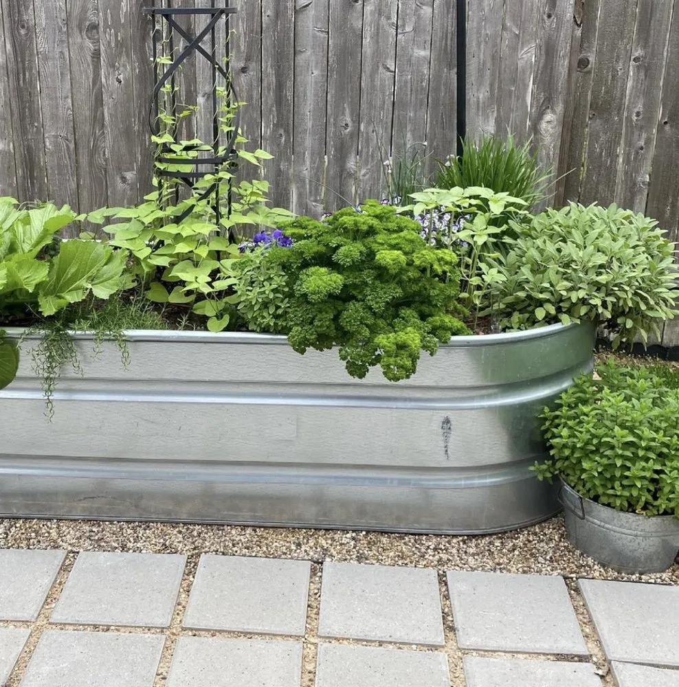 Expert yard cleanup service in Houston, TX - Kitchen Garden Revival