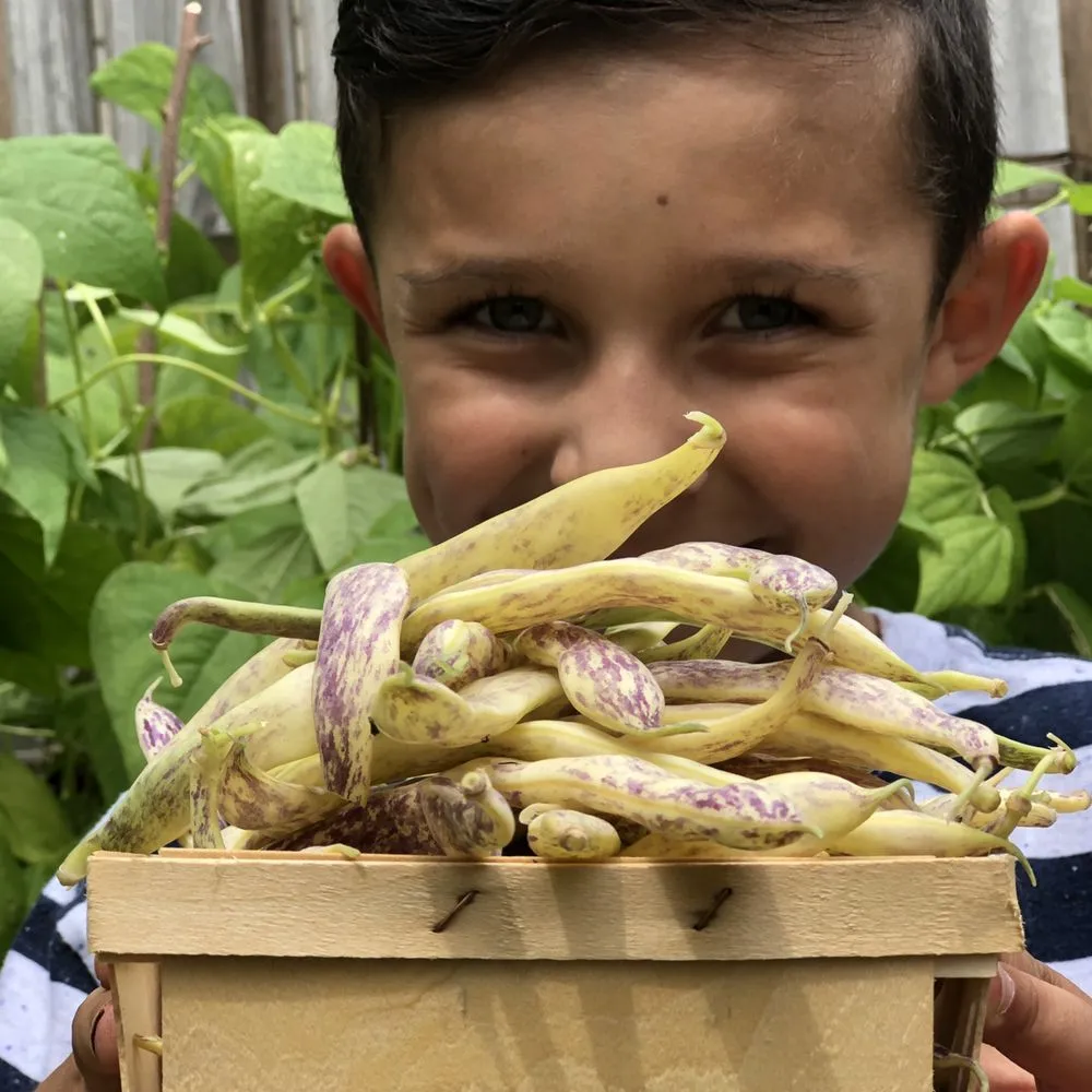 Trusted landscape installation experts serving Houston, TX - Kitchen Garden Revival