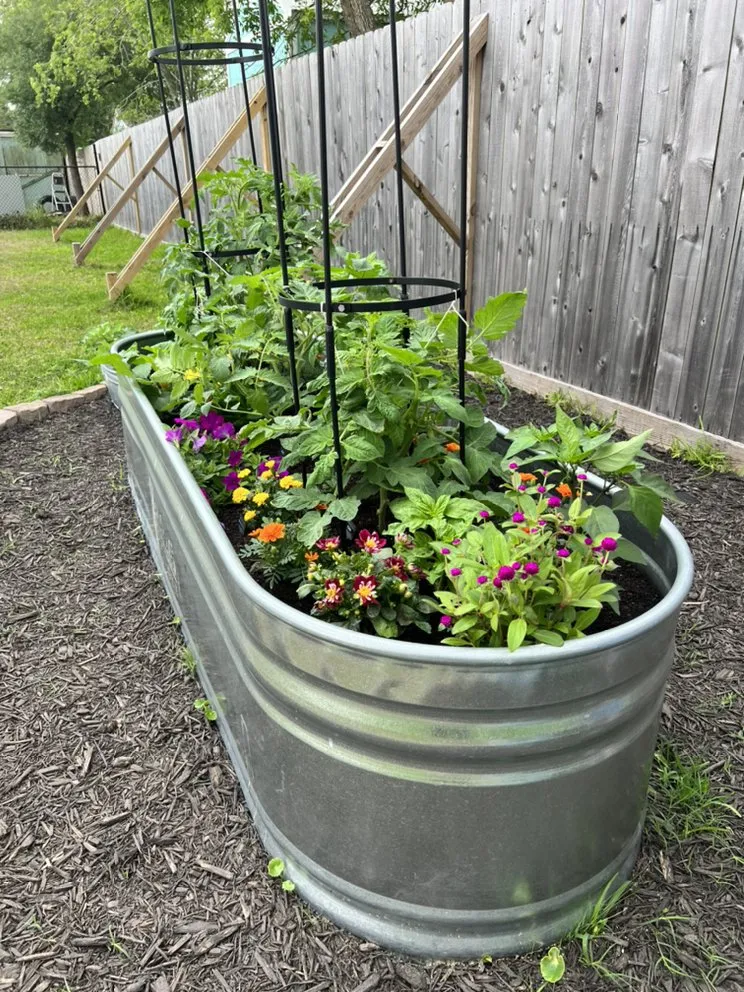 Top-rated yard maintenance for beautiful yards across Houston, TX - Kitchen Garden Revival