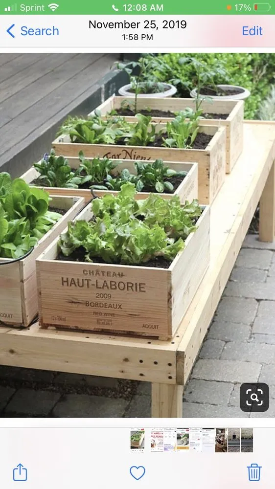 Professional residential landscaping near you across Houston, TX - Kitchen Garden Revival