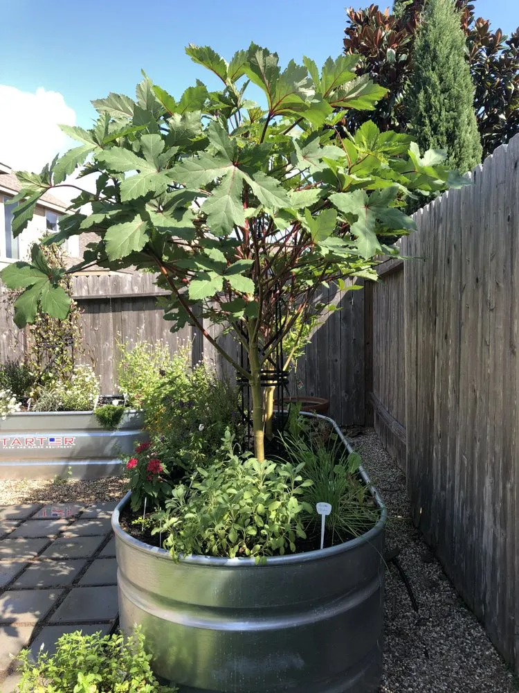 Top-rated yard maintenance experts serving Houston, TX - Kitchen Garden Revival