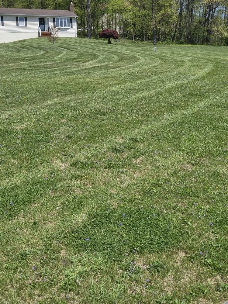Reliable yard maintenance for beautiful yards across Stewartstown, PA - Kitner Lawn & Landscaping