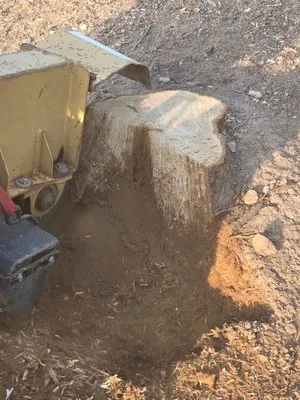 Kitner Lawn & Landscaping