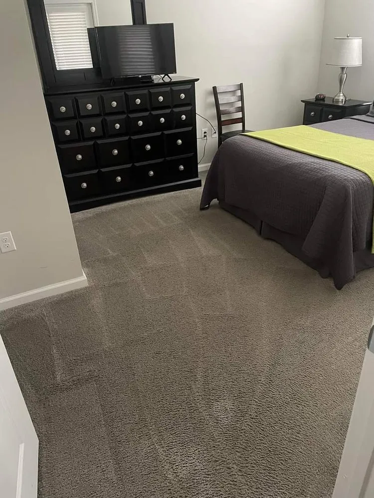 Expert yard cleanup service experts serving Portland, ME - Kitors