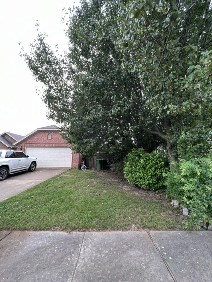 Local yard cleanup service in Rogers, AR - Kito's Residential Services