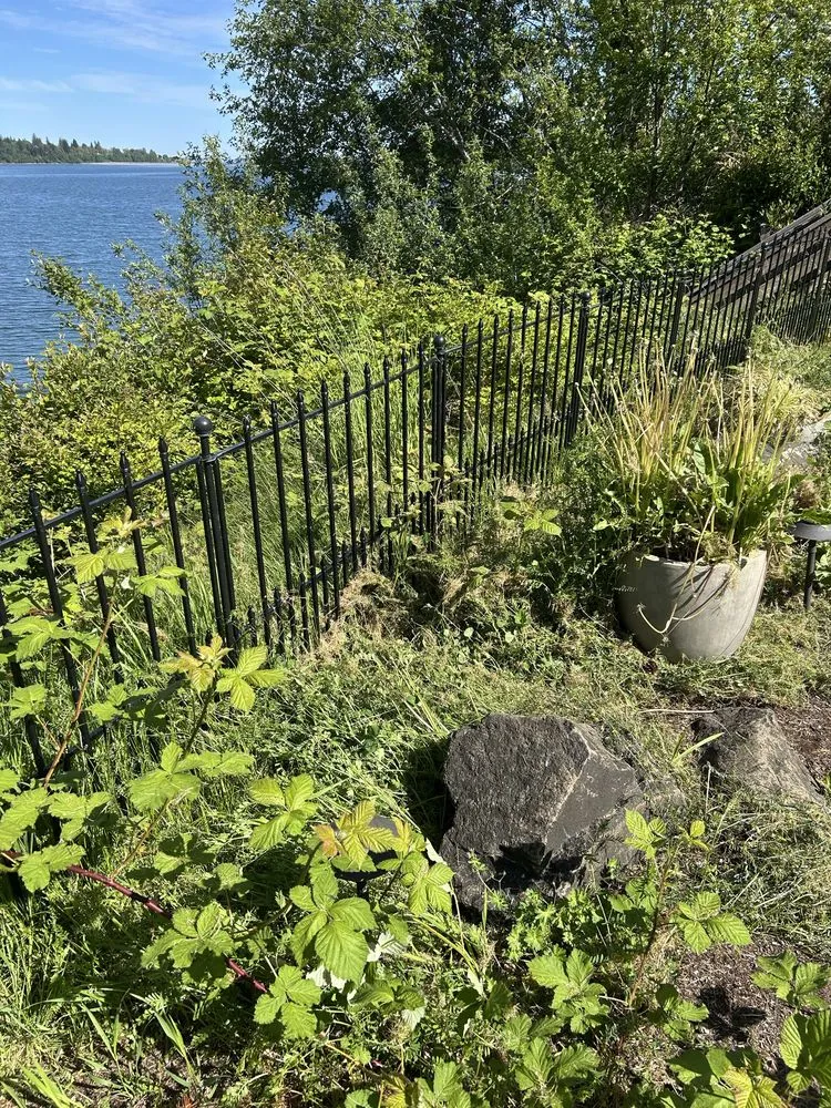 Expert outdoor landscaping in Kingston, WA by Kitsap Clean Crew