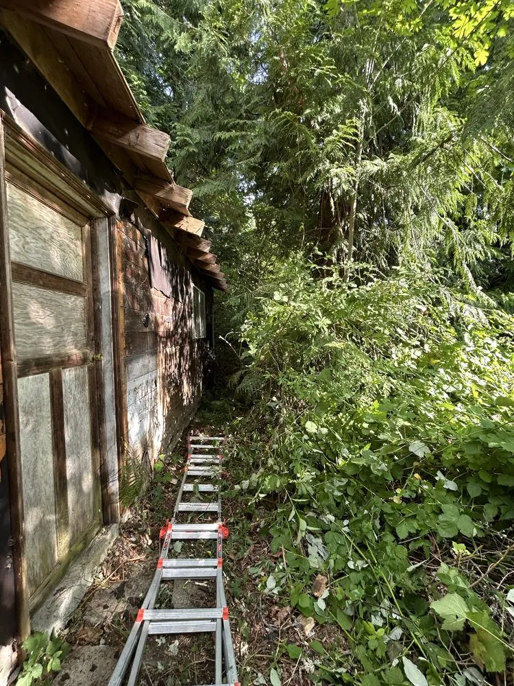 Reliable landscaping services experts serving Kingston, WA - Kitsap Clean Crew