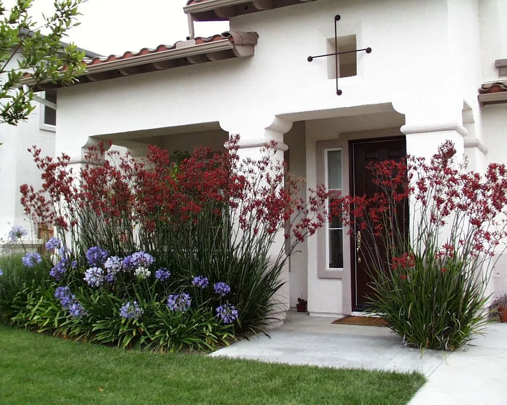 Custom garden landscaping for beautiful yards in Goleta, CA by Kitson Landscape Management