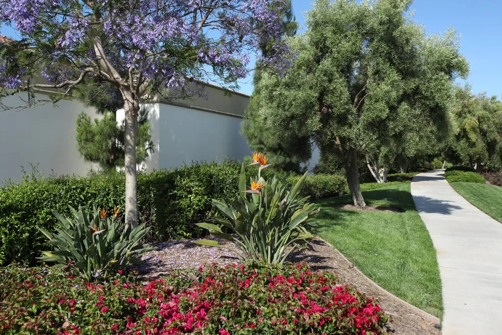 Local landscaping services experts serving Goleta, CA - Kitson Landscape Management
