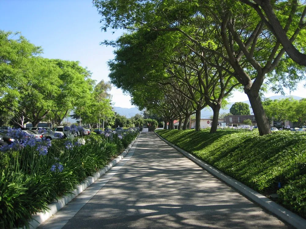 Affordable lawn care service in Goleta, CA - Kitson Landscape Management