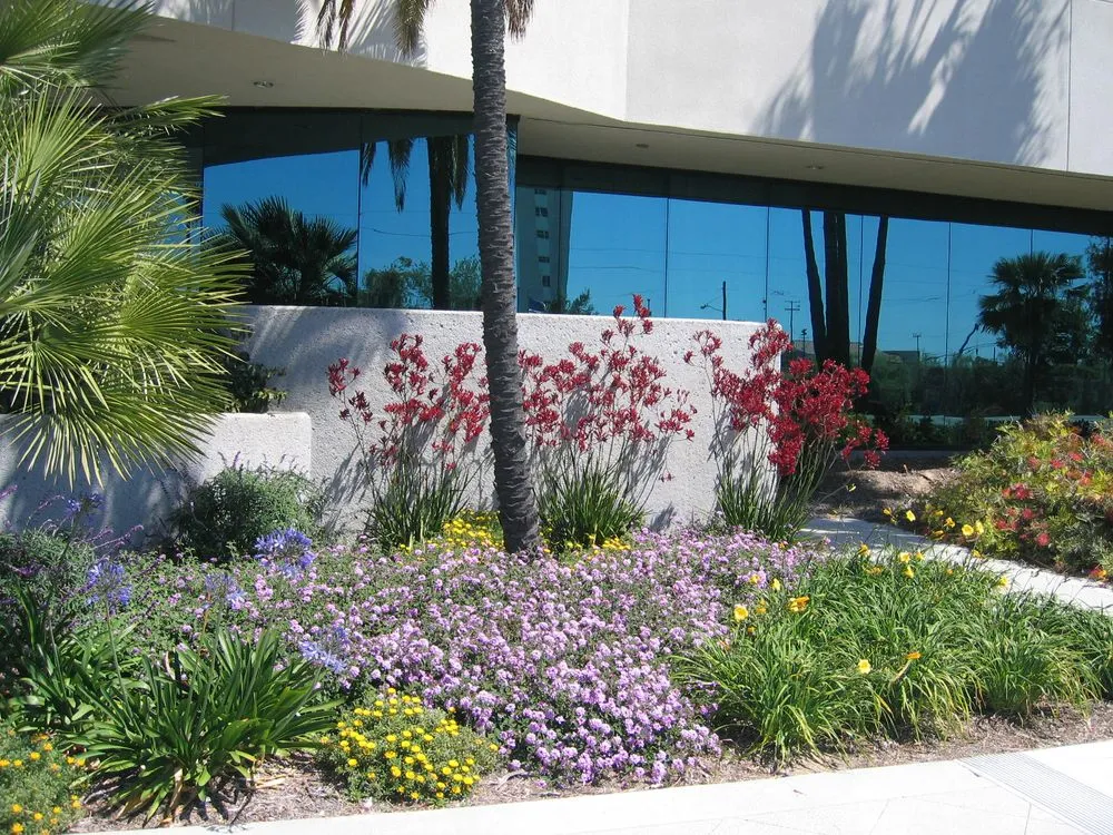 Local landscaping services in Goleta, CA by Kitson Landscape Management