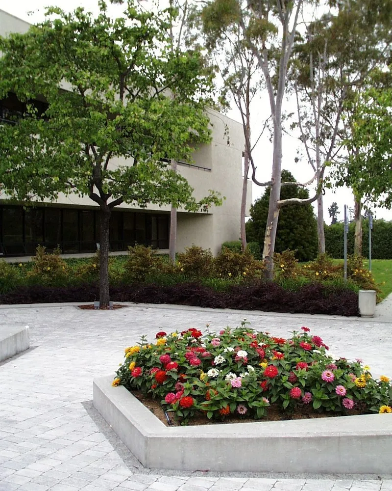 Top-rated landscape design for residential properties across Goleta, CA - Kitson Landscape Management