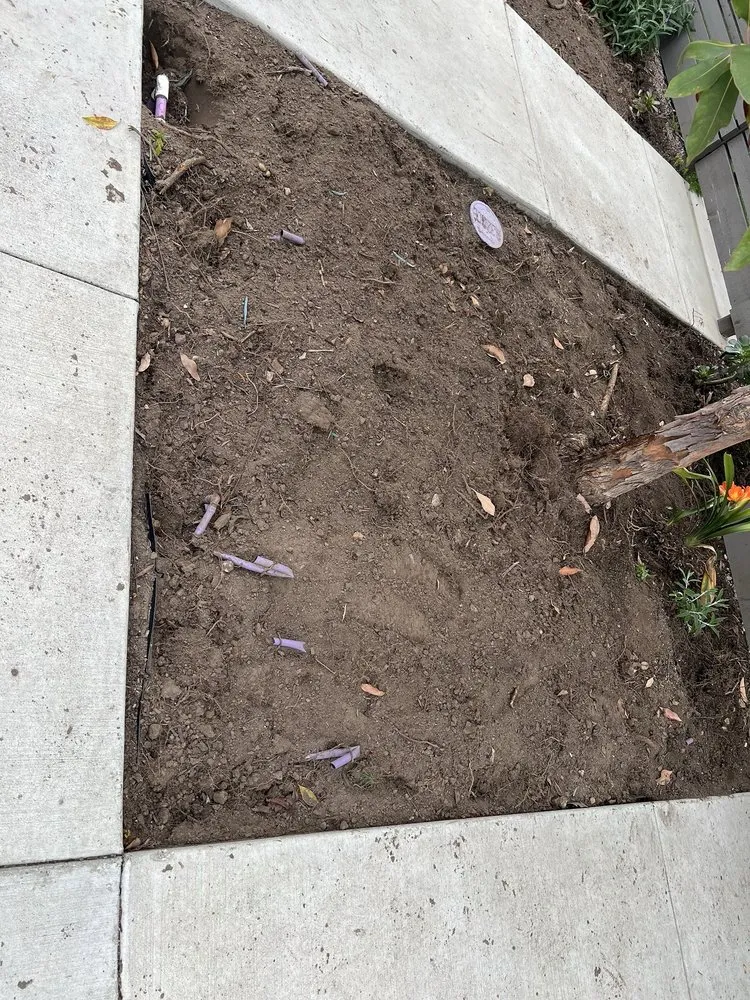 Top-rated yard maintenance in Goleta, CA by Kitson Landscape Management