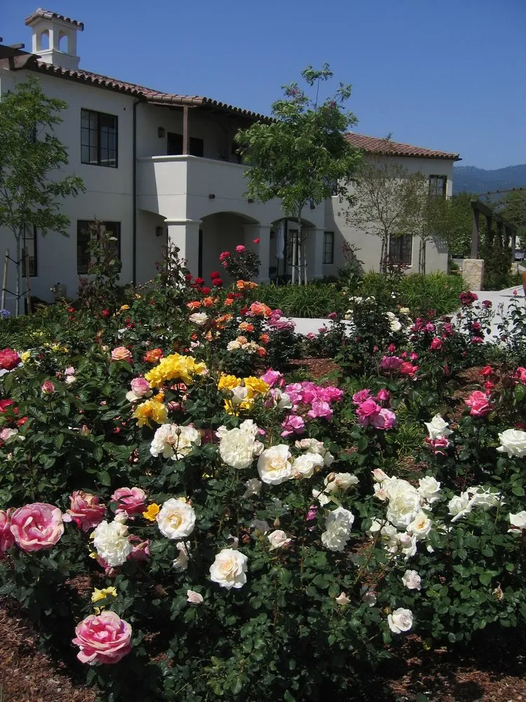 Local outdoor landscaping in Goleta, CA - Kitson Landscape Management