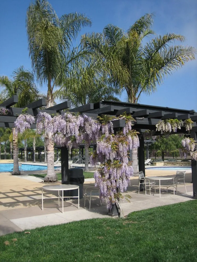 Expert landscaping services with custom design in Goleta, CA by Kitson Landscape Management