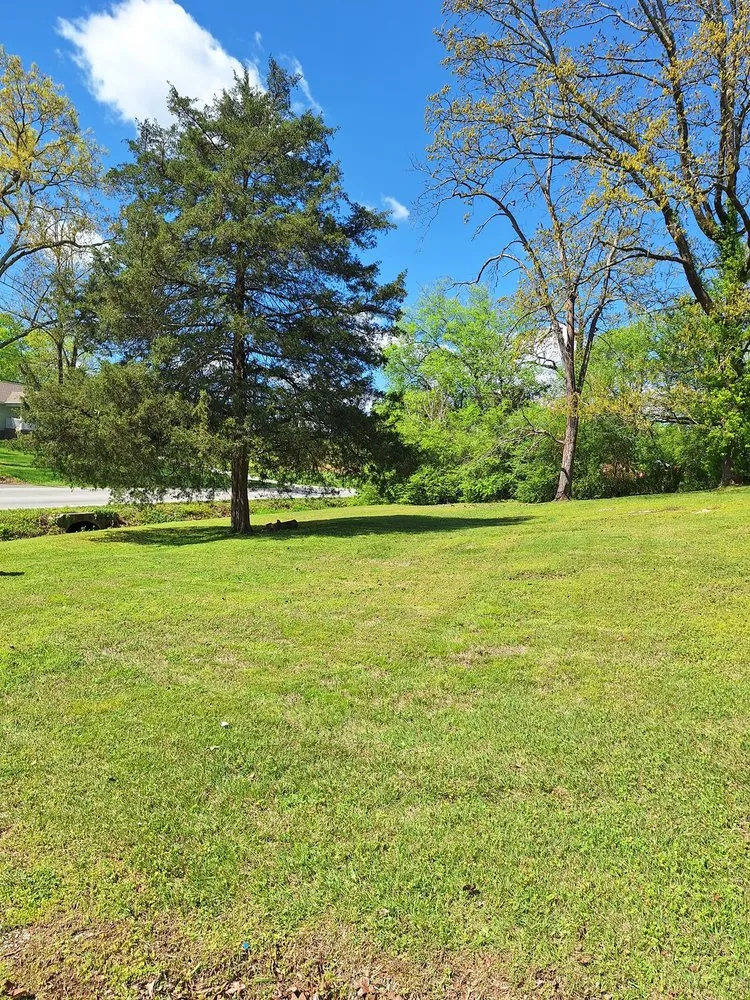 Custom yard cleanup service with custom design across Ringgold, GA - Kittle Farm Landscaping Services