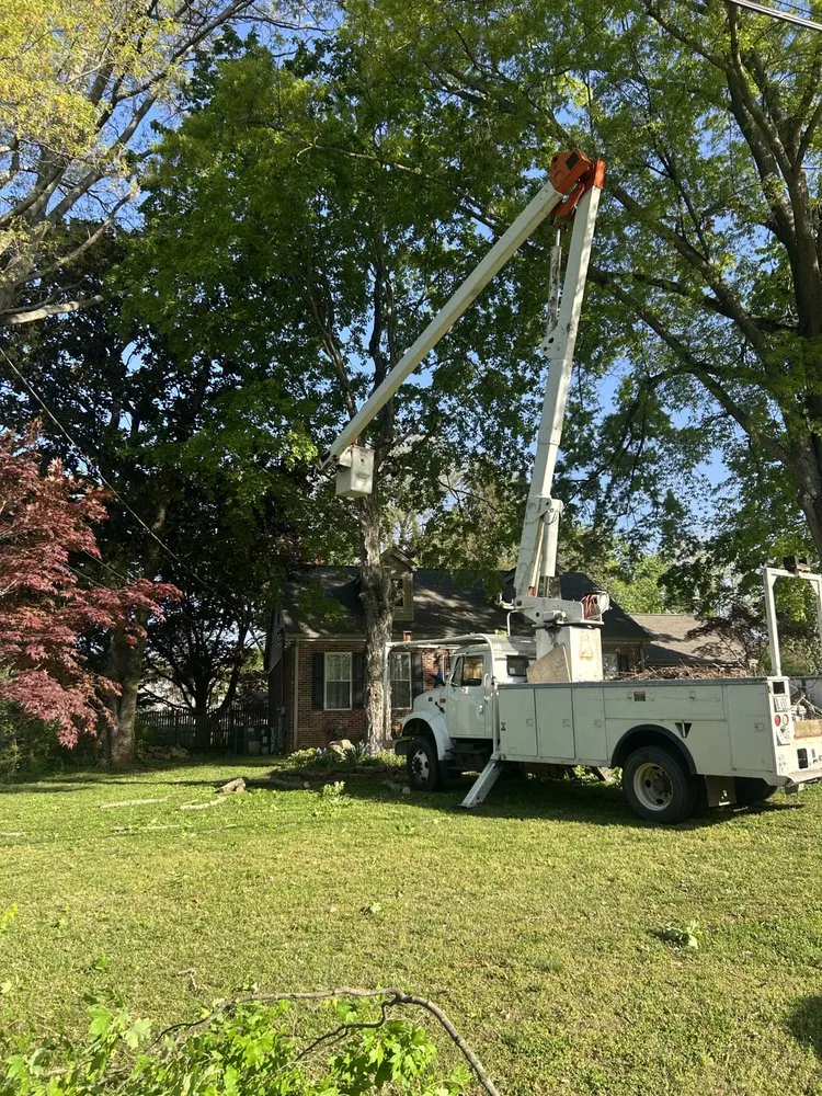 Expert landscape design experts serving Knoxville, TN - Kitts Tree Service