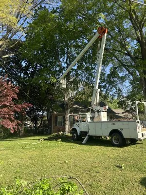 Kitts Tree Service Logo