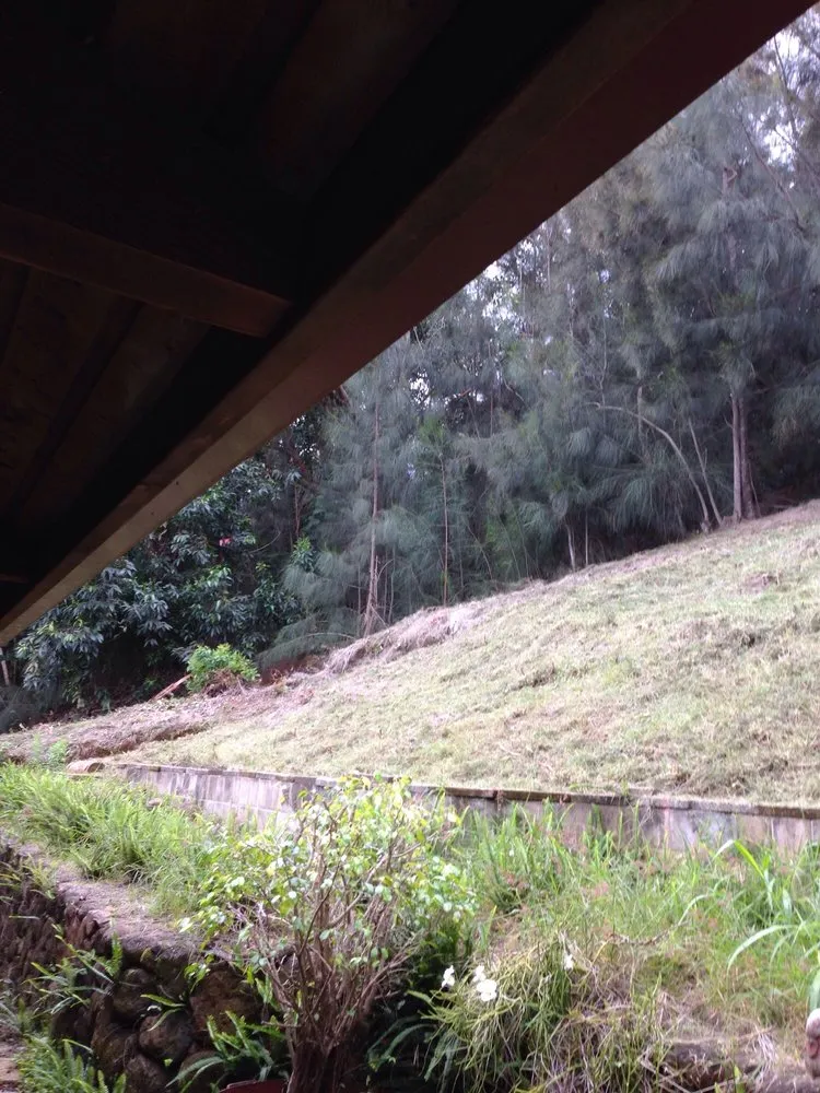 Local landscaping services near you in Pukalani, HI by Kiv3 Landscaping