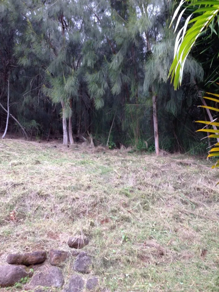 Reliable yard maintenance experts serving Pukalani, HI - Kiv3 Landscaping