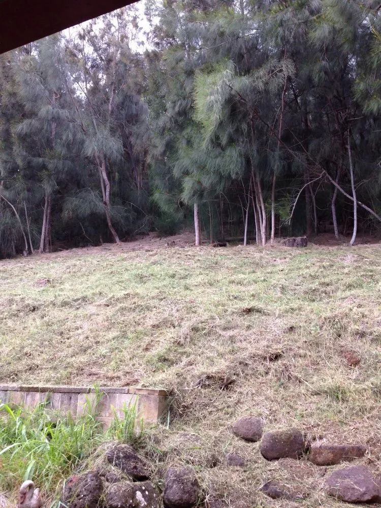 Trusted landscaping services in Pukalani, HI by Kiv3 Landscaping