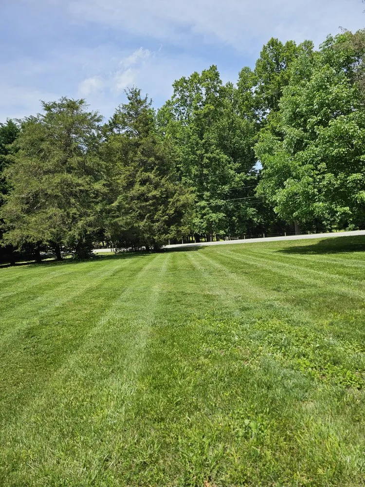 Trusted yard maintenance for homes in Randleman, NC by Kivco Landscaping