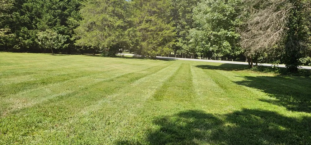Reliable landscape installation in Randleman, NC - Kivco Landscaping