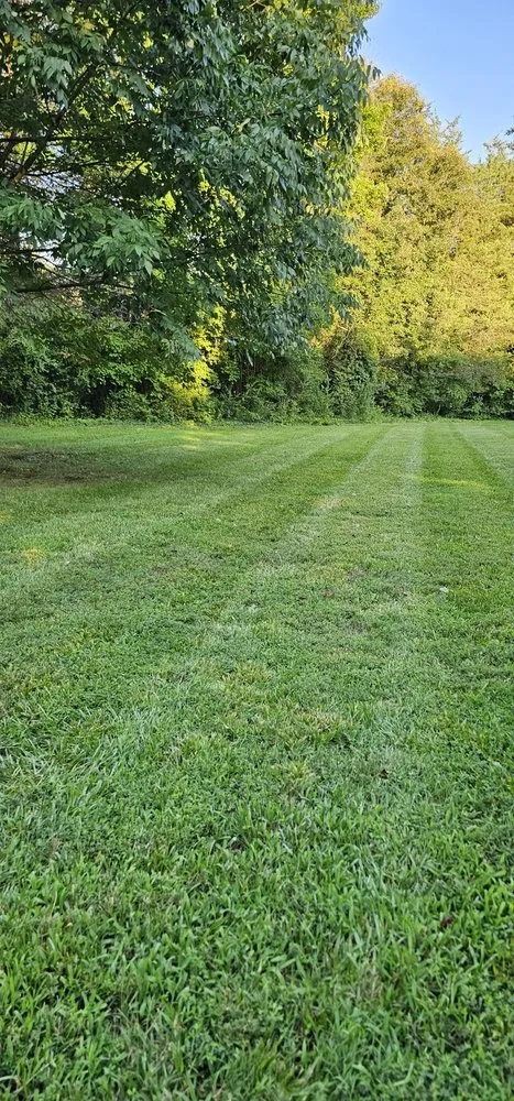 Affordable yard maintenance for residential properties across Randleman, NC - Kivco Landscaping