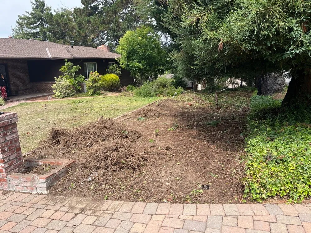 Reliable yard cleanup service in Concord, CA by Kiwi Pavers Inc