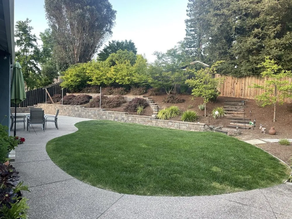 Professional yard maintenance for year-round maintenance across Concord, CA - Kiwi Pavers Inc