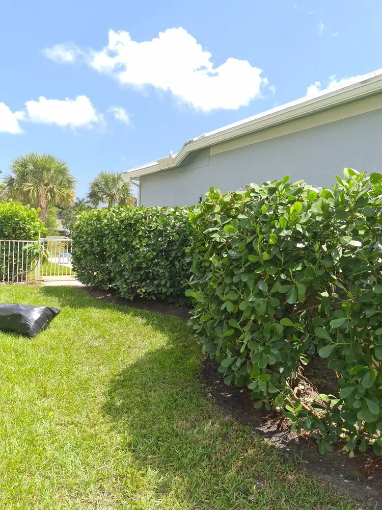 Top-rated landscape design for residential properties across Riviera Beach, FL - Kiwis Lawn and Landscaping Services