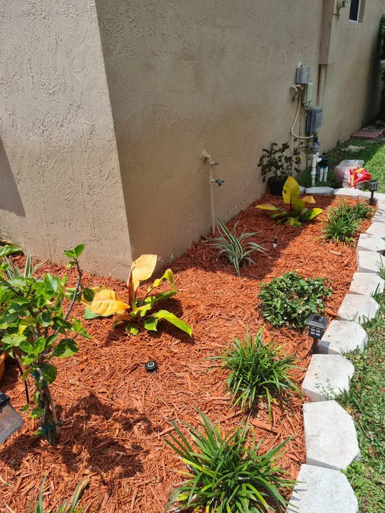 Reliable landscaping services experts serving Riviera Beach, FL - Kiwis Lawn and Landscaping Services